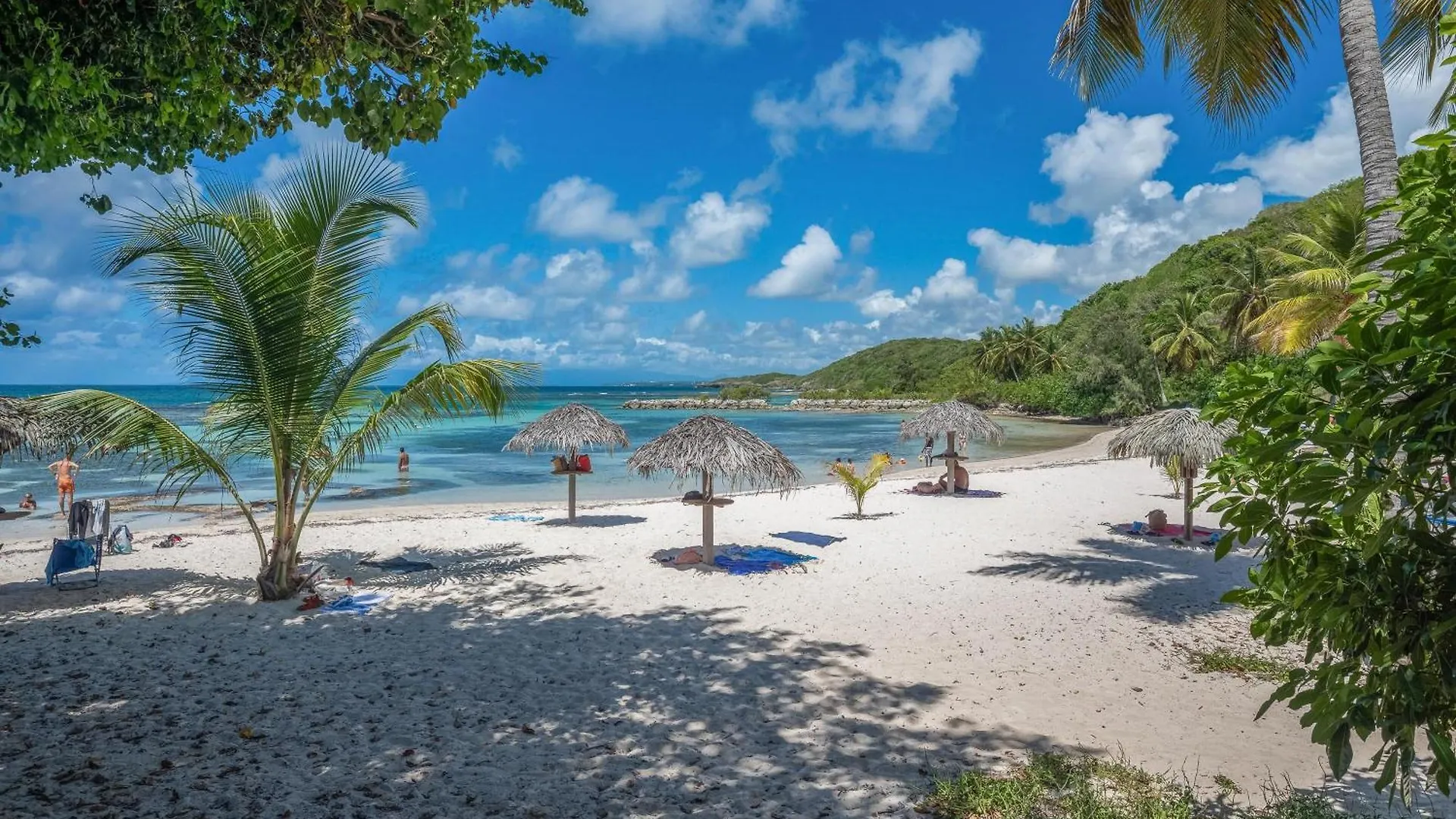 Le Corail Des Rochers - Studio Climatise Piscine Partagee Saint-Francois  Guadeloupe